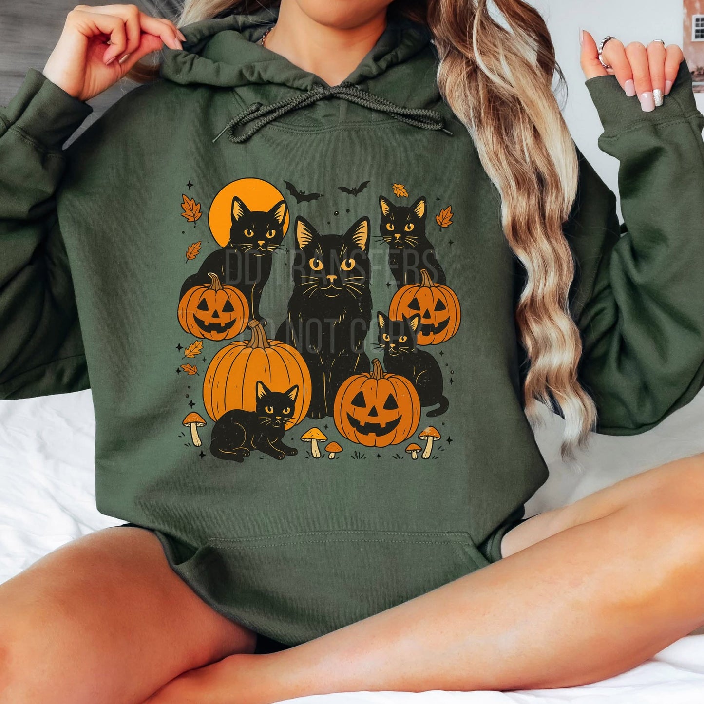 Black Cats (Transfer)