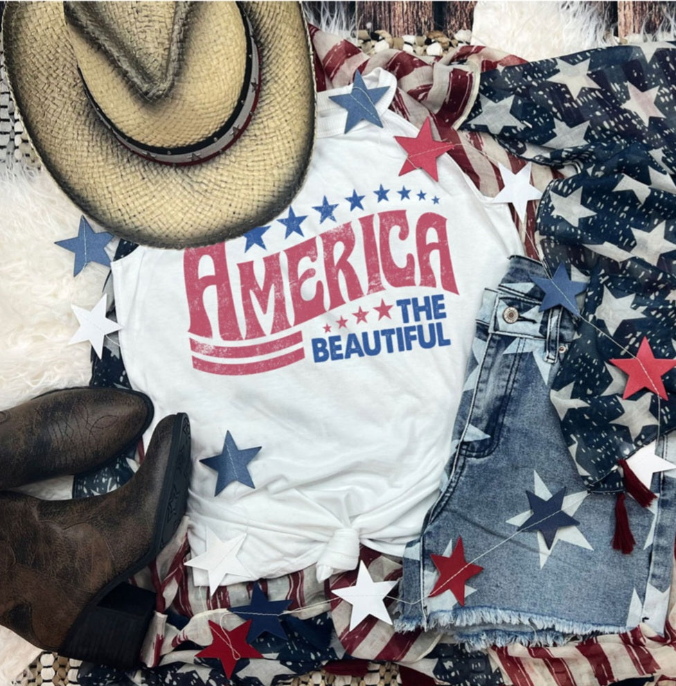 America the Beautiful (Transfer)