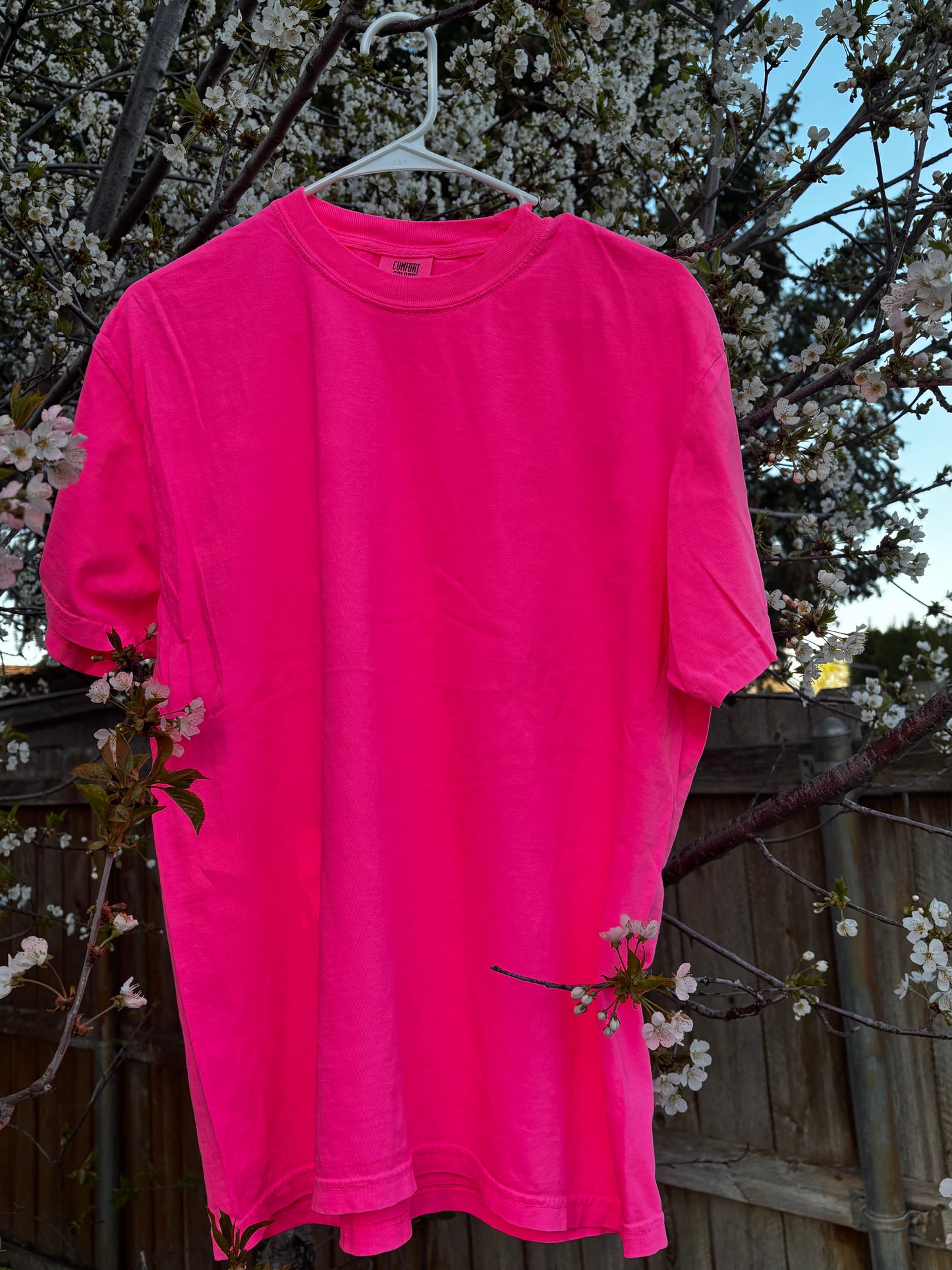 Neon Pink T-shirt (comfort colors)