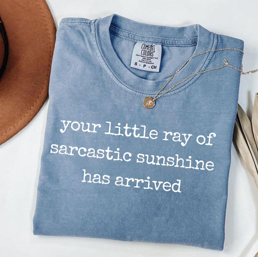 Sarcastic Sunshine (Transfer)