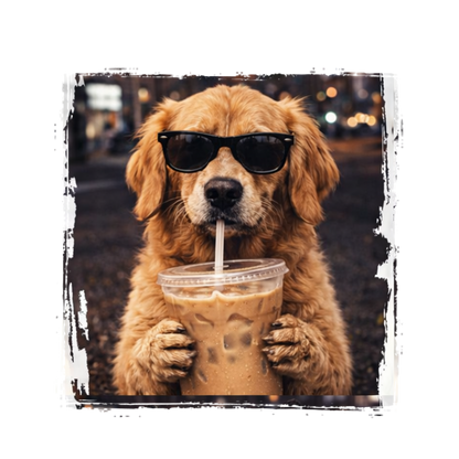 Golden Iced Coffee (Transfer)