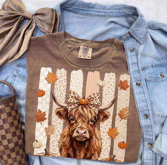 The Golden Days | Highland Cow