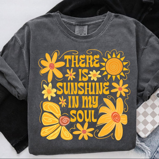 Sunshine in my Soul (Transfer)