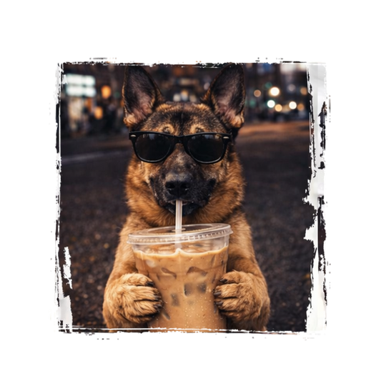 Shepard Iced Coffee (Transfer)